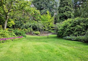 Optimiser l'expérience du jardin à Vellerot-les-Belvoir